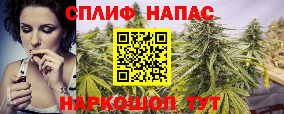 Конопля SATIVA & INDICA Михайловск